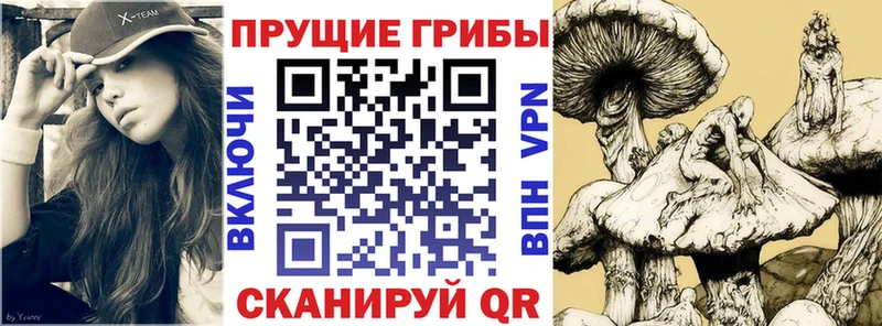 Галлюциногенные грибы MAGIC MUSHROOMS  купить  цена  Гусев 