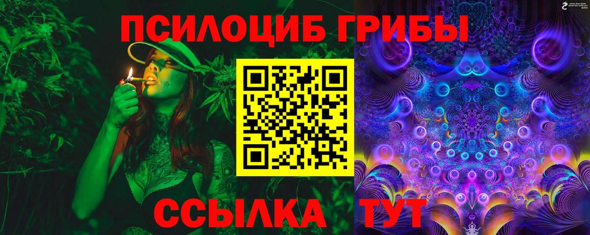 Галлюциногенные грибы мицелий Гусев