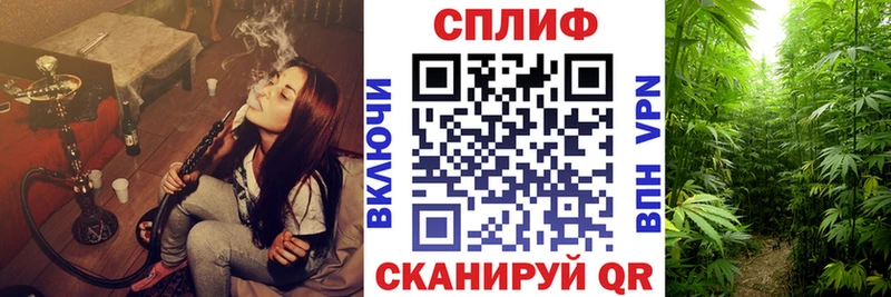 Бошки Шишки OG Kush Гусев